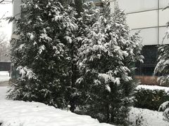 -北京市海淀外国语实验学校