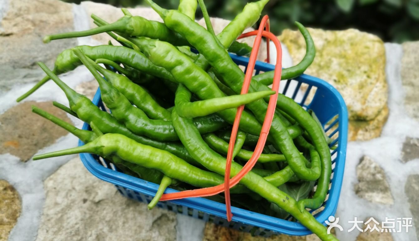 五花肉炒二荆条辣椒！