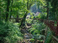 -素山寺森林公园