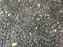 -洛阳市隋唐城遗址植物园