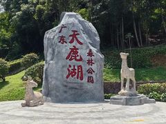 -天鹿湖森林公园