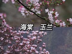 -黑河国家森林公园
