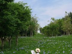 -白鹭湾湿地公园