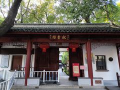 -汇龙潭