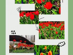 -东平国家森林公园