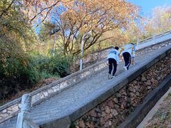 -洱海月湿地公园