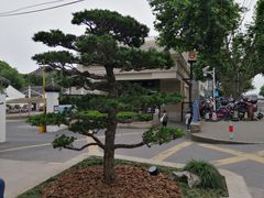 -上海醉白池公园