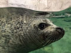 -厦门海底世界