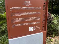 -广州市流溪河国家森林公园