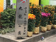 -九龙公园