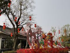 -映月湖公园