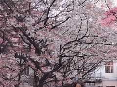 -贵州师范大学(宝山北路校区)