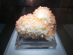 -湖南省地质博物馆