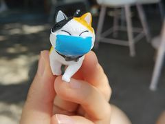 -喵屿·大理花园猫咖