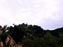 -北京鹫峰国家森林公园