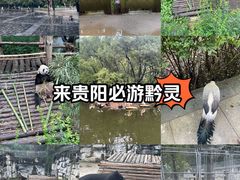 -黔灵山公园