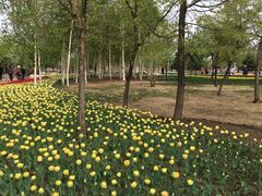 -长春公园(普阳街道)