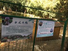 -南山风景名胜区