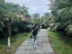 -瑶湖郊野森林公园