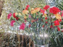 -春暖花开(西溪店)