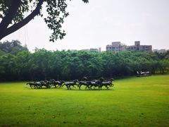 -广州雕塑公园
