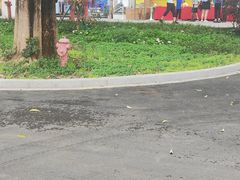 -云溪植物园
