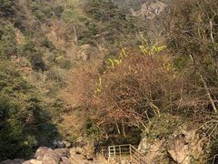 -东天目山风景区