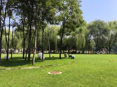 -顺鑫绿色度假村