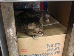-公利真料竹蔗水(中环店)