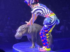 -珠海横琴长隆《卡卡虎奇遇记》