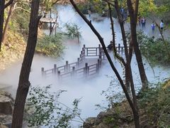 -北京西山国家森林公园