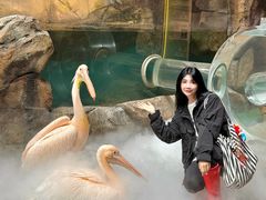 -波塞冬旅游度假区