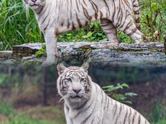 -乐和乐都主题乐园