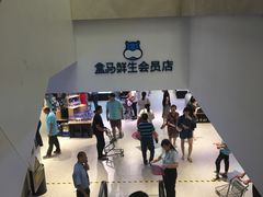 -盒马鲜生(大成店)
