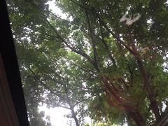 景点-广州都市观光巴士(粤陶巴)