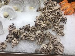 八爪鱼-牡丹国际大酒店-港式茶餐厅
