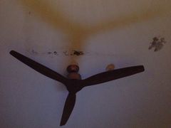 -三亚湾红树林度假世界(木棉酒店)