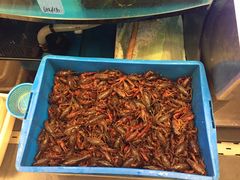 -沈家门小海鲜