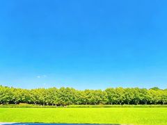 -宜兴龙背山森林公园