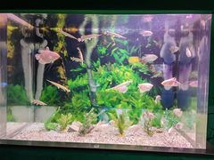 -常州海昌海洋探索馆