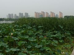 -尚贤河湿地