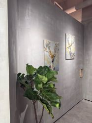 -菲·木田moontin造型salon