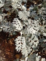 -UP&UP·半永久眉毛眼线机器野生眉