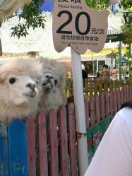 -萌宠亲子动物乐园(槐房万达店)