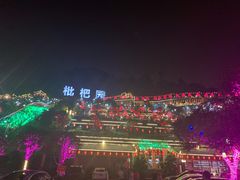 -枇杷园食为鲜火锅(南山店)