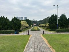 -南沙蒲洲花园