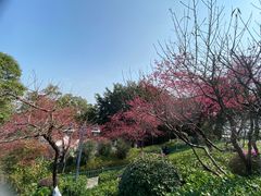 -乌山风景区