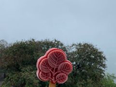 -香山公园