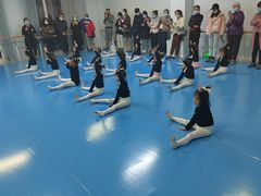 -西安小天鹅艺术团(曲江Alice店)