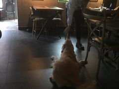 大堂-百好乐宠物友好餐厅(朝外大街店)